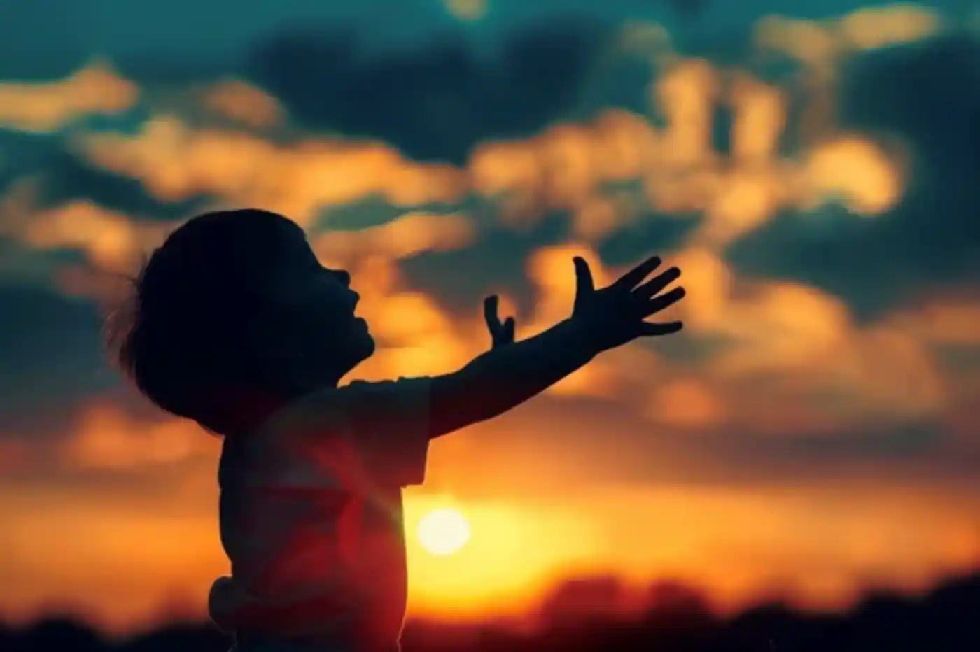 photo d'un enfant dans la nature